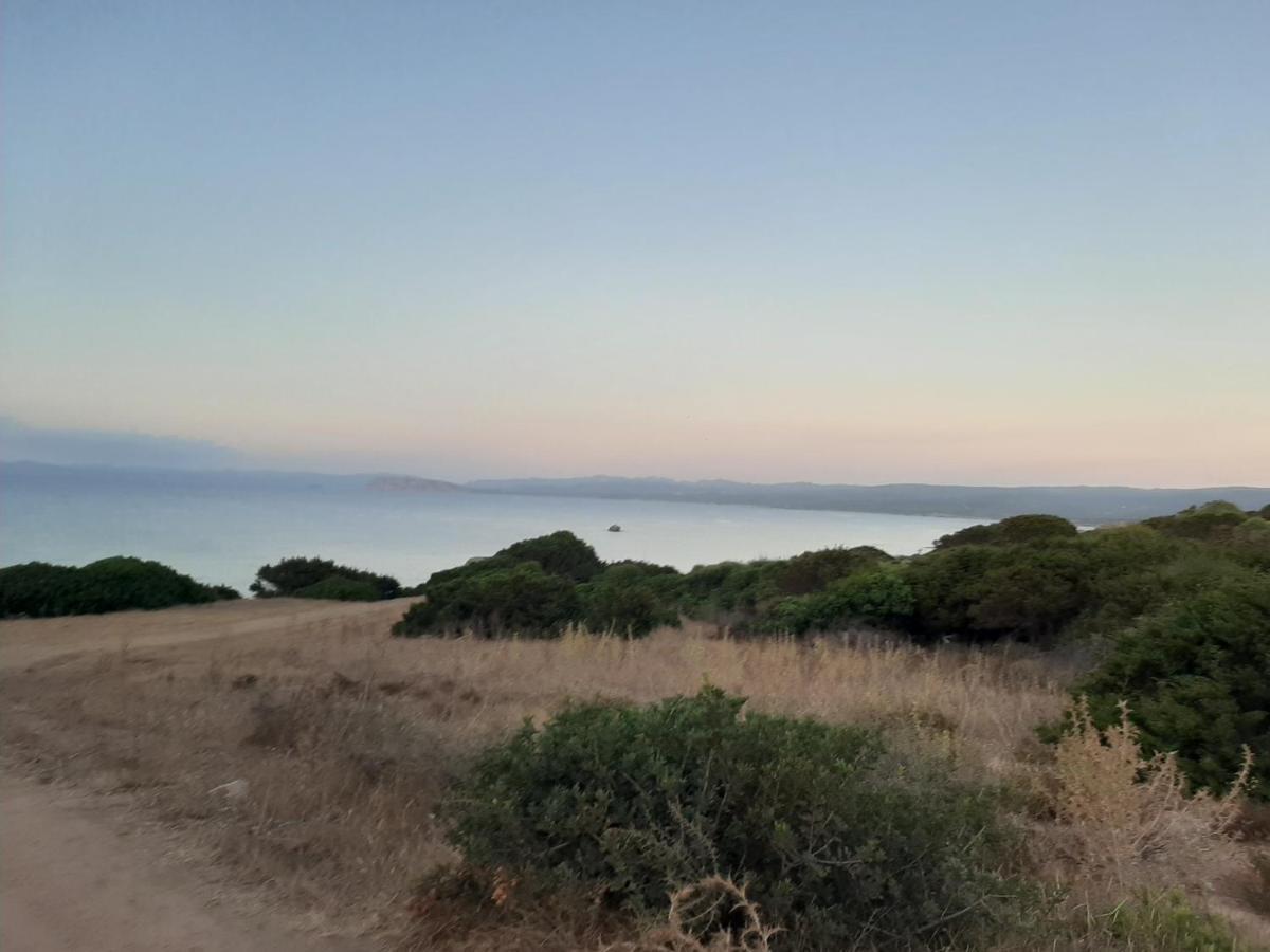 Appartamento Residence Mirice Vignola Mare Aglientu Casa Giorgia Exteriör bild
